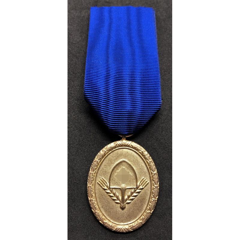 Dienstauszeichnung für den Reichsarbeitsdienst 1. Stufe - 25 Jahre (Gold)