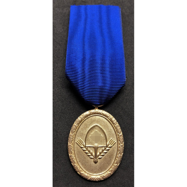 Long Service RAD Medal 1st Class - 25 Years (Gold)