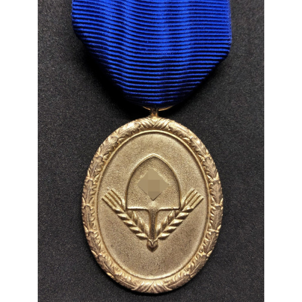 Dienstauszeichnung für den Reichsarbeitsdienst 1. Stufe - 25 Jahre (Gold)