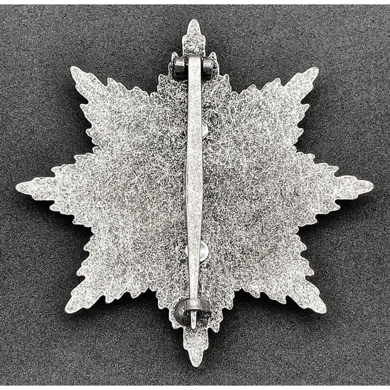 Bruststern Eisernes Kreuz Hindenburgstern Oder Blücherstern (Silber)