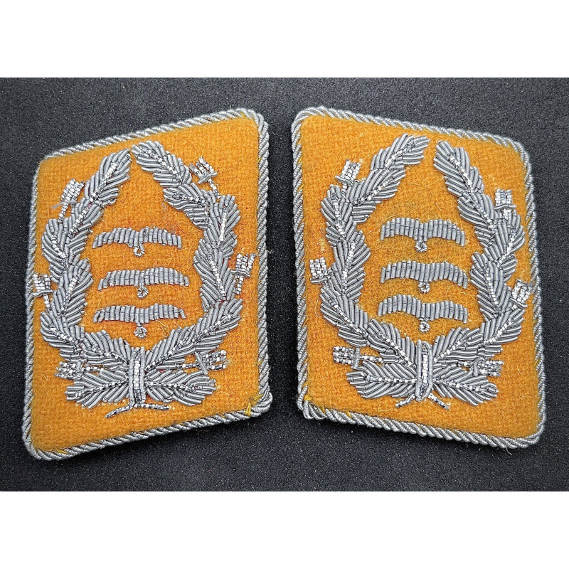 Luftwaffe Kragenspiegel - Oberst