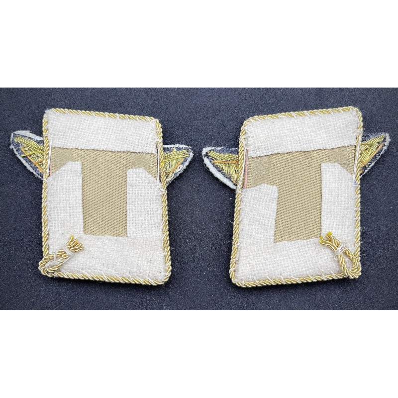 Luftwaffe Kragenspiegel - Generalfeldmarschall