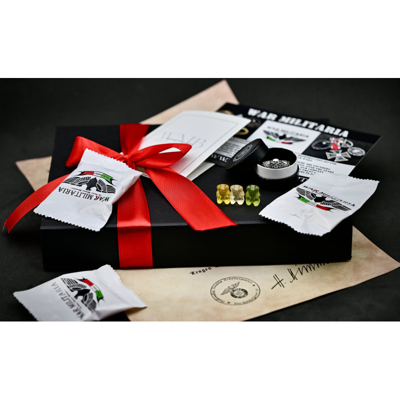 •Argento 925• SS-Ehrenring (Totenkopfring) di Kurt "Panzer" Meyer