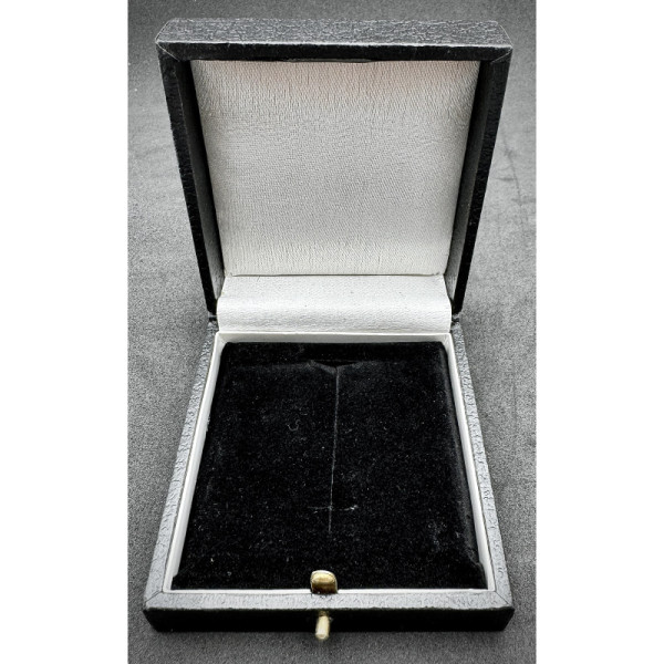 -Case for Germanic Proficiency Runes (Medal not included)