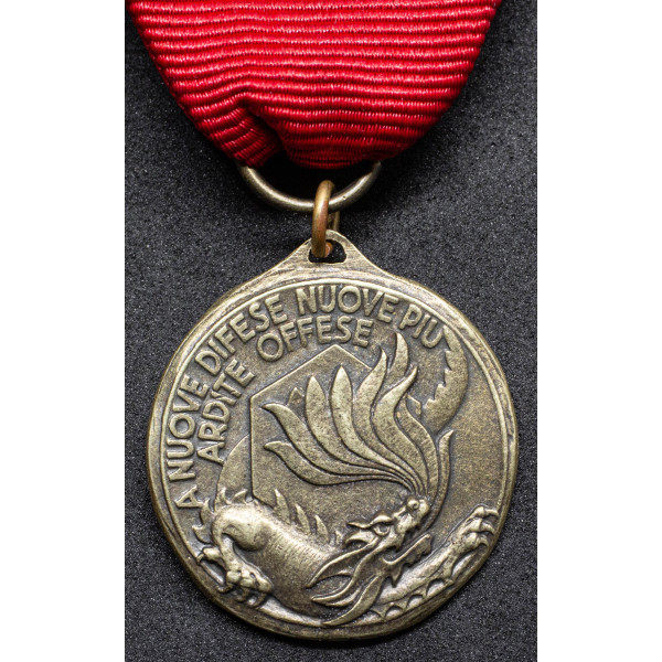 Medaille des Chemischen Regiments Rom 2
