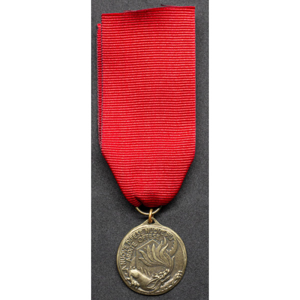 Medaglia del Reggimento Chimico Roma