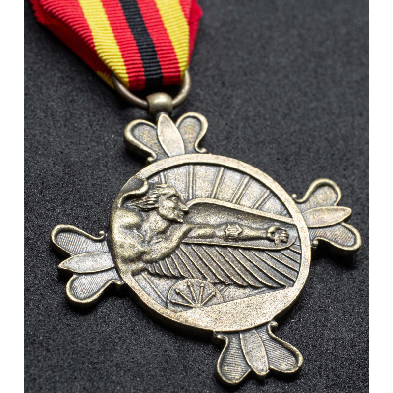 Medaille der Manchego-Veteranen der Blauen Division