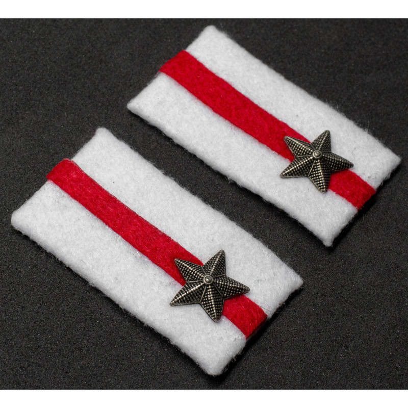 Mostrine - 54ª Divisione di Fanteria "Napoli"