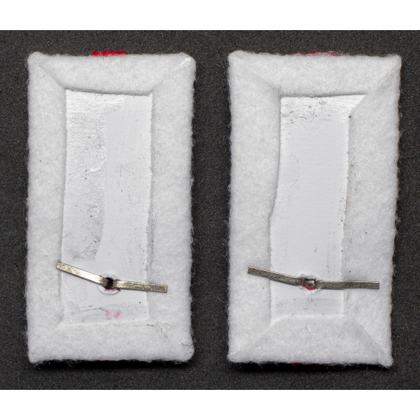 Kragenspiegel - 54ª Divisione di Fanteria "Napoli" 2