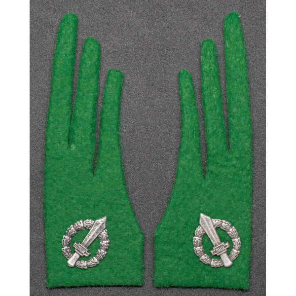 Collar Tabs - Alpine troops during the RSI period
