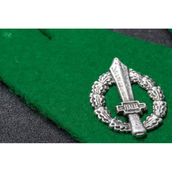 Collar Tabs - Alpine troops during the RSI period