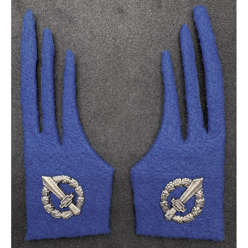 Mostrine per Carristi RSI 1944