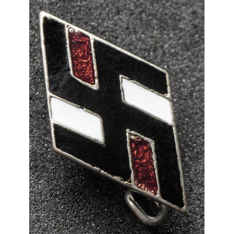 NS-Studentenbund Badge