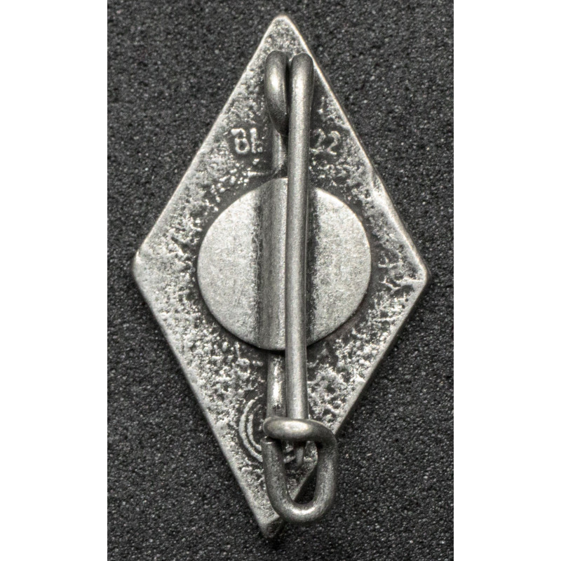 NS-Studentenbund Badge