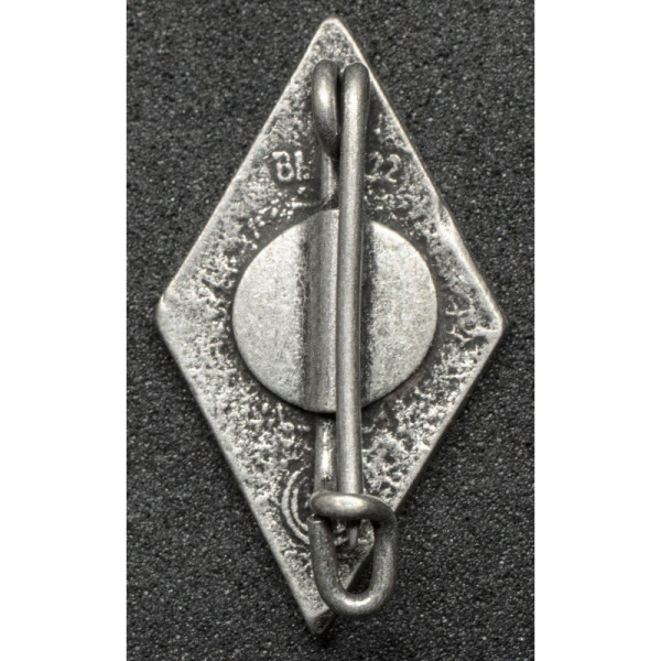 NS-Studentenbund Badge