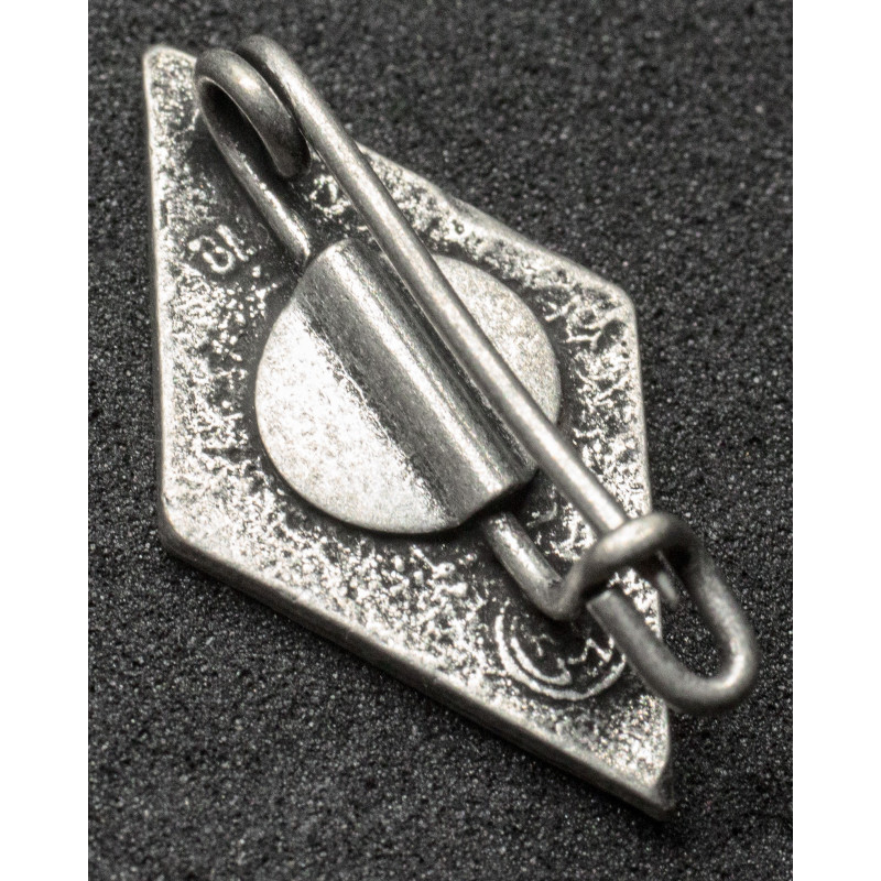 NS-Studentenbund Badge