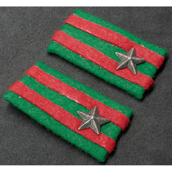 Kragenspiegel – 21. Infanterieregiment „Cremona“