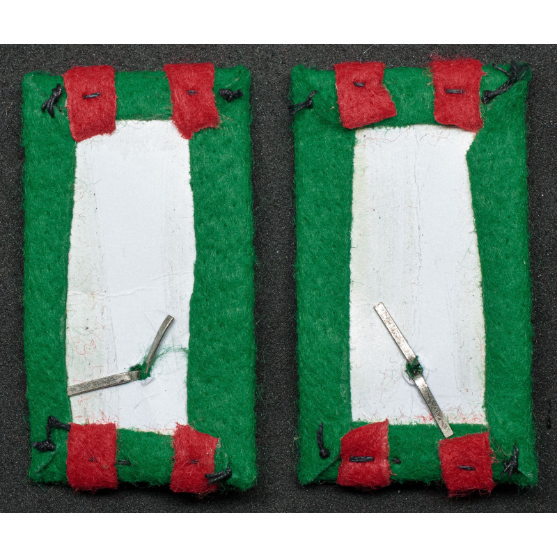 Kragenspiegel – 21. Infanterieregiment „Cremona“
