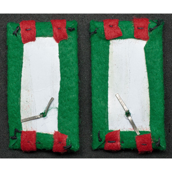 Kragenspiegel – 21. Infanterieregiment „Cremona“