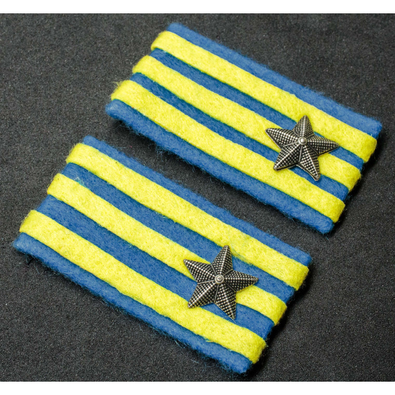 Kragenspiegel – 291. Infanterieregiment "Zara"