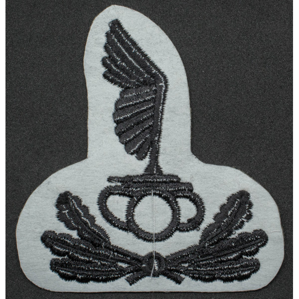 Abzeichen für Mütze oder Barett für RSI-Panzerbesatzung - Unteroffiziere und Truppen 2