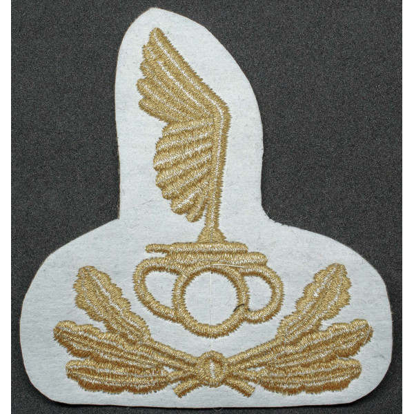 Abzeichen für Mütze oder Barett für RSI-Panzerbesatzung - Offiziere 2