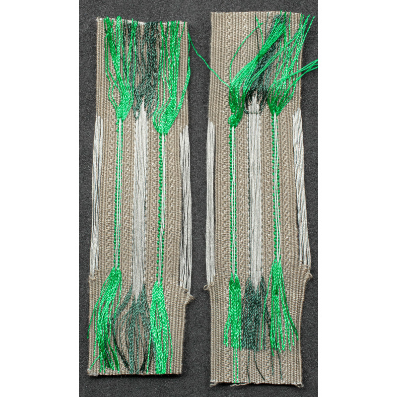 Mostrine "Litzen" BeVo - Generiche (Verde)