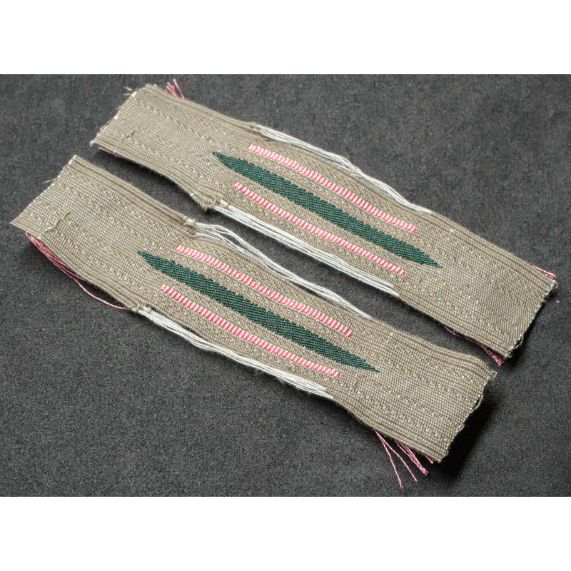 BeVo Litzen - Feldgendarmerie (Rosa)