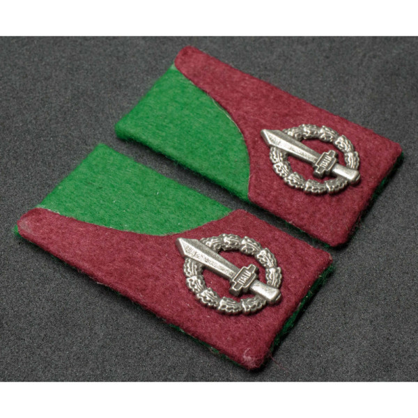 Mostrine Alpini Sanità RSI
