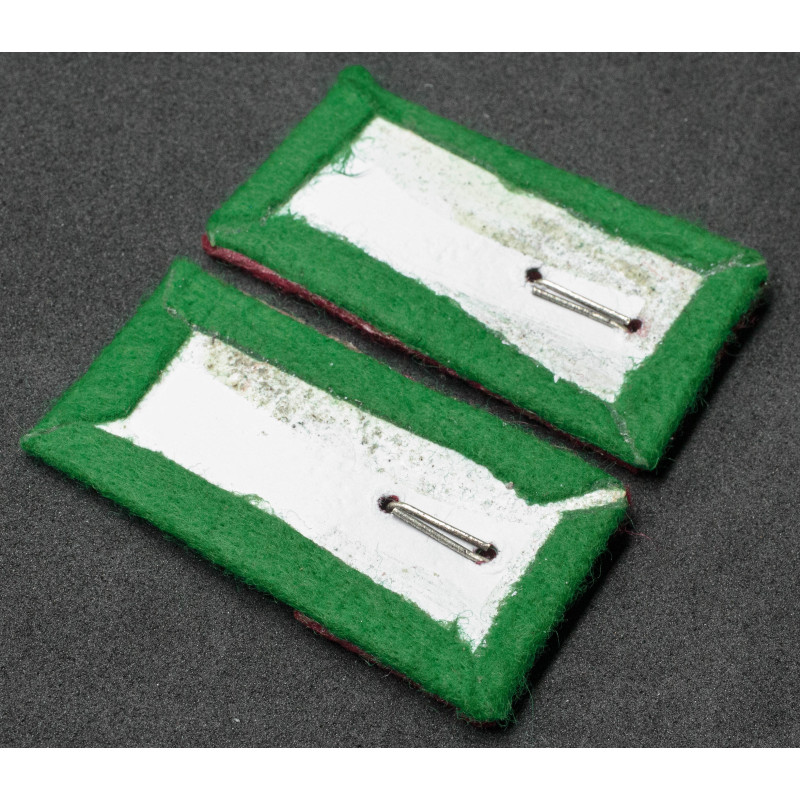 Mostrine Alpini Sanità RSI