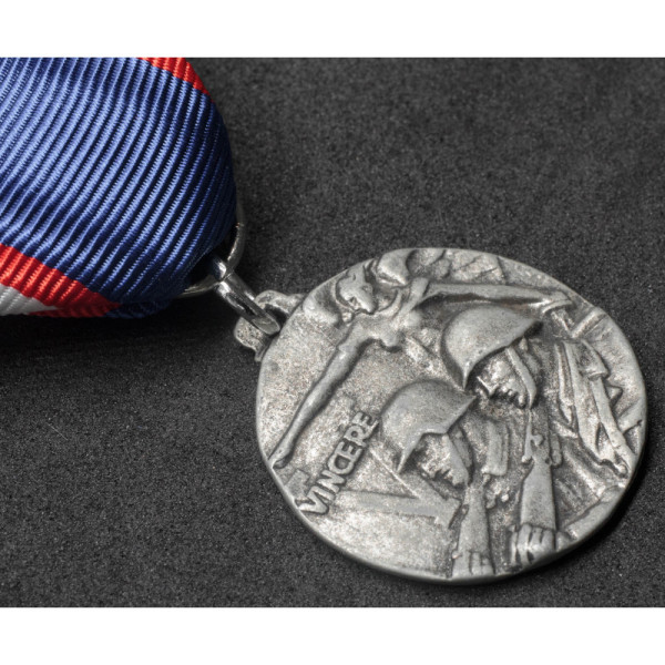 Medal "Two Peoples One War"