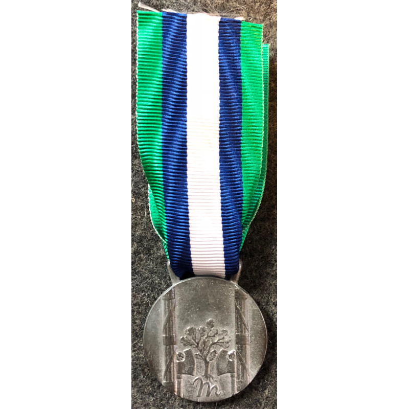 Medal of honor for mothers of numerous families