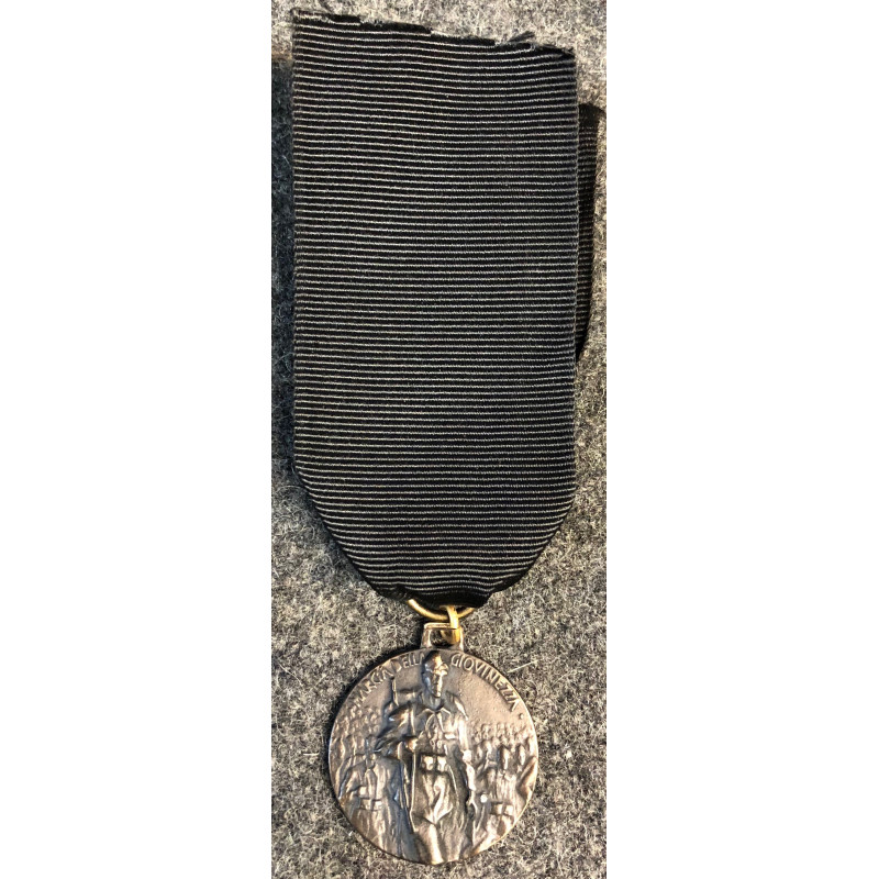 Young Volunteers Corps Medal