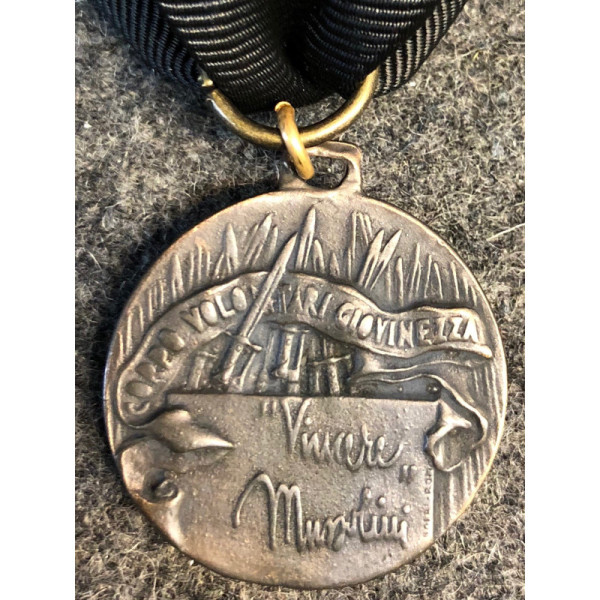 Young Volunteers Corps Medal