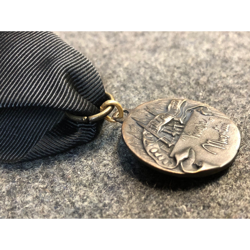 Young Volunteers Corps Medal