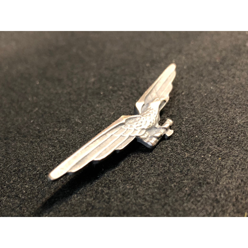 RSI Pilot Abzeichen