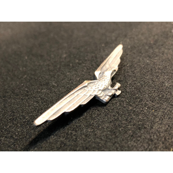 RSI Pilot Abzeichen
