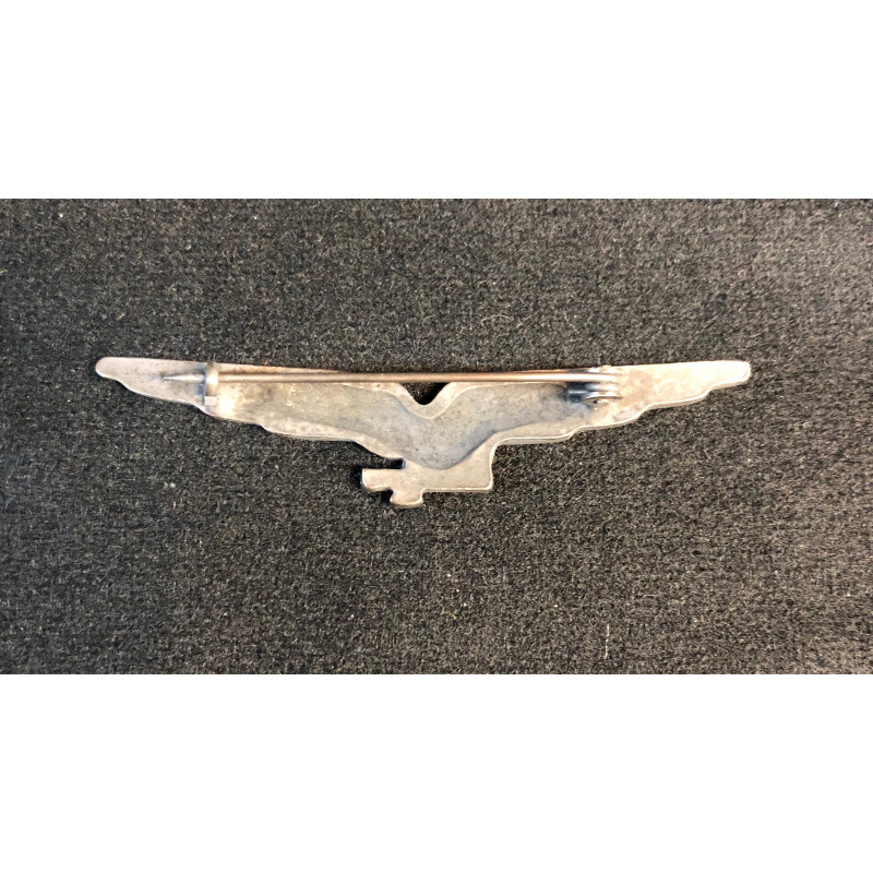 RSI Pilot Badge