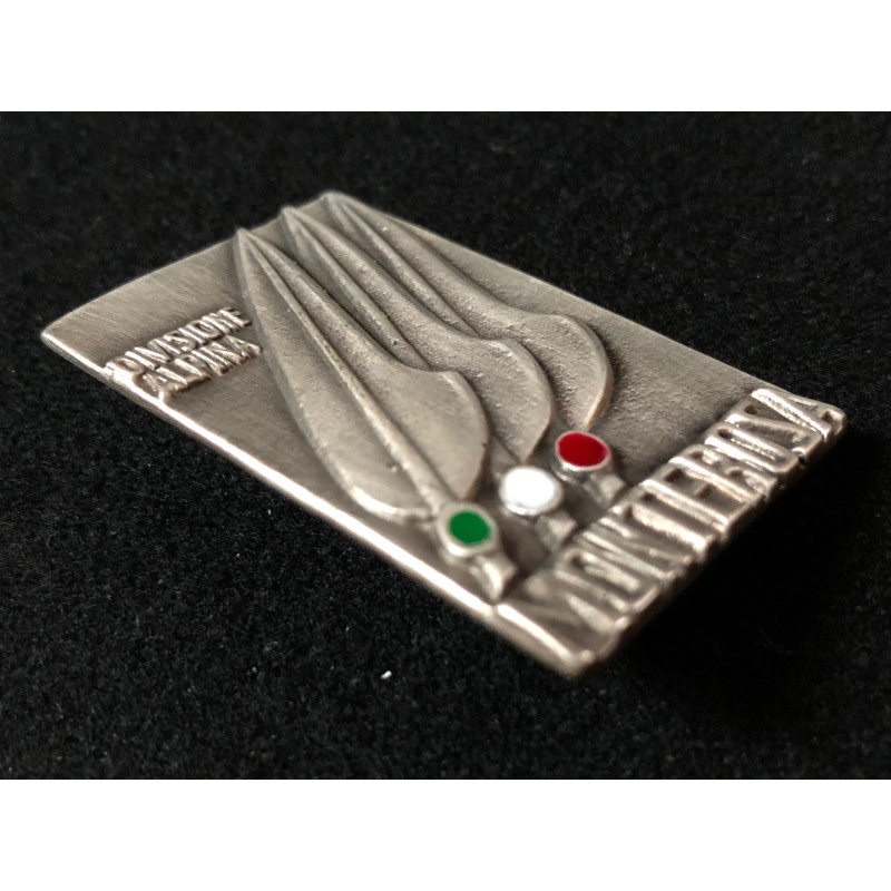 Alpine Division "Monterosa" badge
