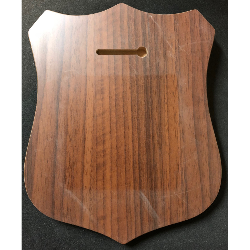 Wallshield