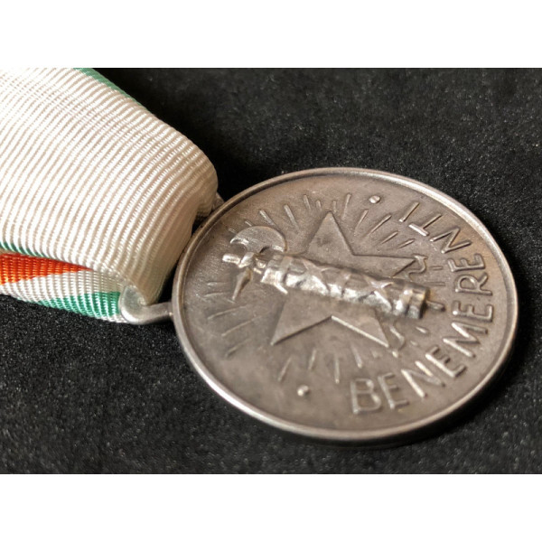 Medaglia ai benemeriti della Croce Rossa (Argento)