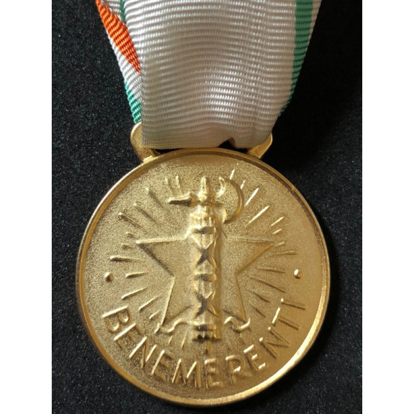 Medaille zum lobenswert des italienischen Roten Kreuzes (Gold)