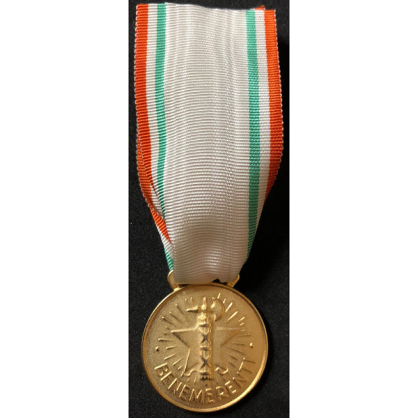 Medaille zum lobenswert des italienischen Roten Kreuzes (Gold)