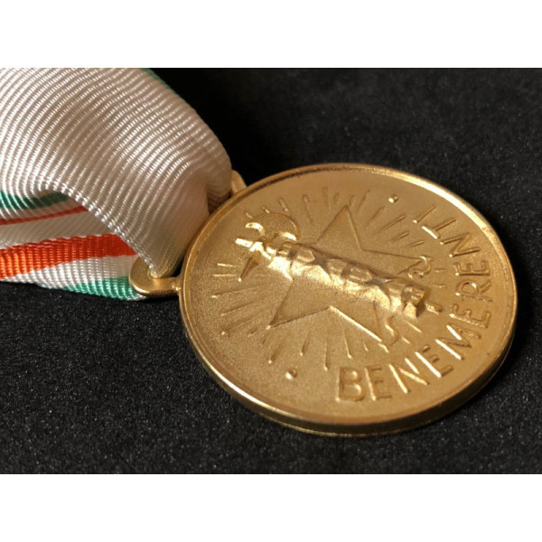 Medaille zum lobenswert des italienischen Roten Kreuzes (Gold)