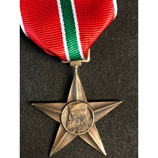 Italienische Partisanenabteilung "Garibaldi" Kreuz