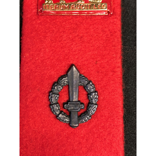 Cloth Insignia - Infantry Battalion