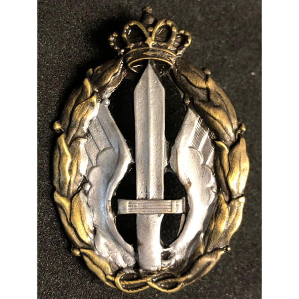 Air Force Badge for war actions, Assault and Combat (Silver)