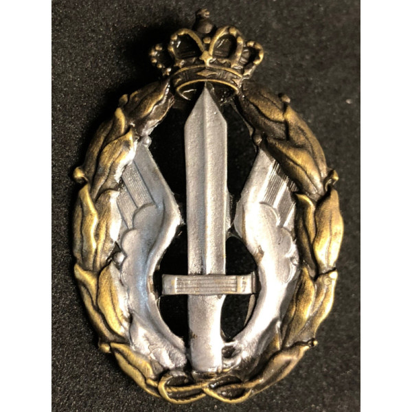 Luftwaffenabzeichen für Kriegshandlungen, Angriff und Kampf (Silber)