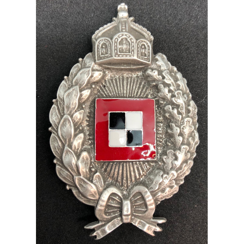 Officers Badge for Observation from Airplane