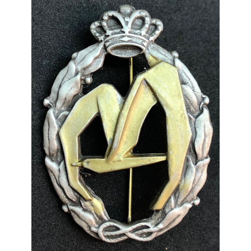 Distintivo per azioni di guerra, trasporto - della RR.AA. (Oro)